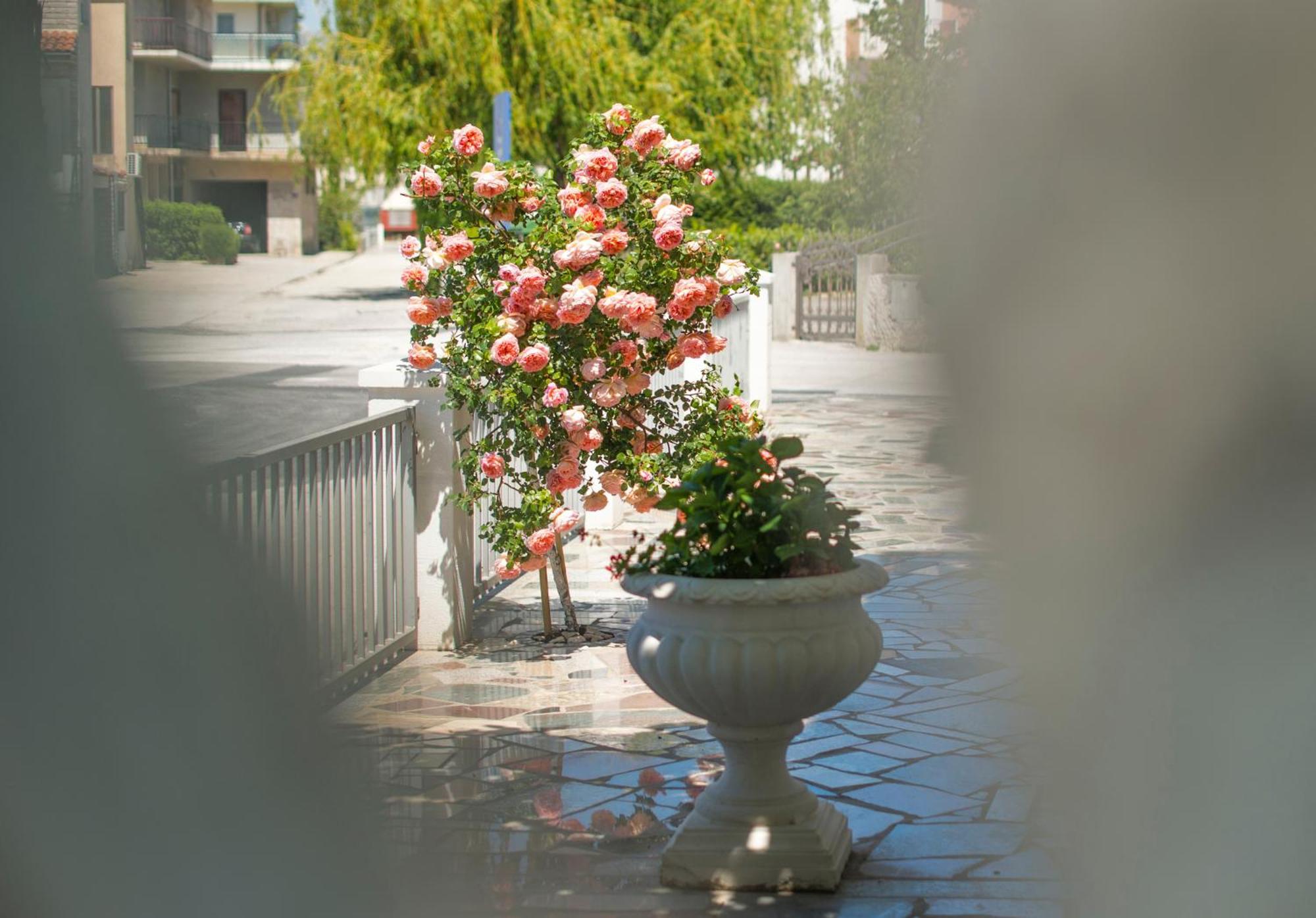 Apartments Nena Подстрана Экстерьер фото